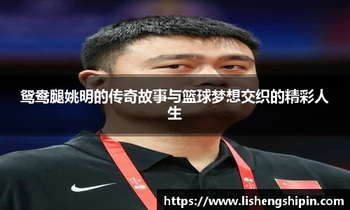 鸳鸯腿姚明的传奇故事与篮球梦想交织的精彩人生